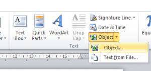 Microsoft Word objects option