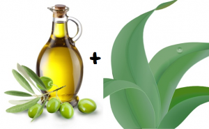 Aloe Vera, Honey, Olive Oil 