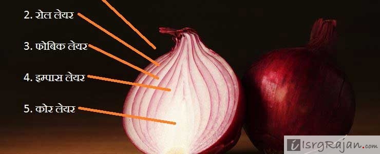 Layers of an Onion in Hindi