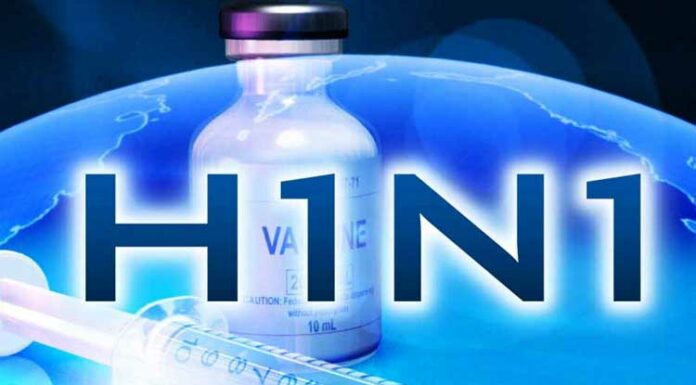 H1N1 Influenza Swine Flu