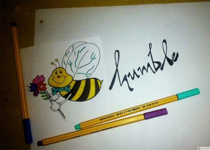 Humble Bee with Flower