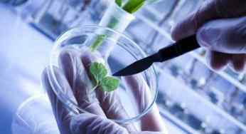 What is Fuel Biotechnology, Is it Beneficial?