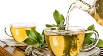 How Green Tea is the Best Solution to all Your Problems?