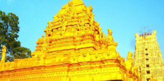 Sree Ksheera Ramalingeswara Temple At Palakollu