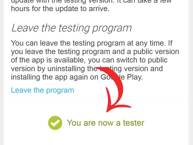 You are now a tester