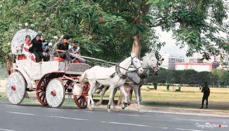 Horse driven cart kolkata