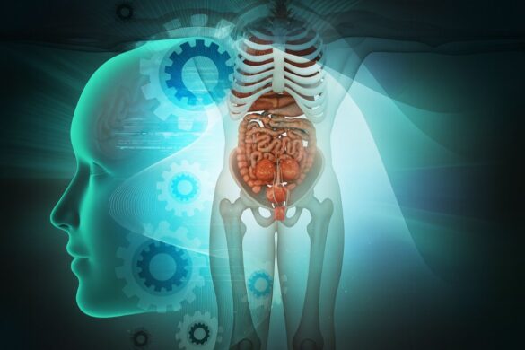 Mystery Human Body Mystery Human Body