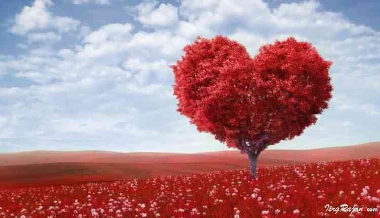 Red heart tree