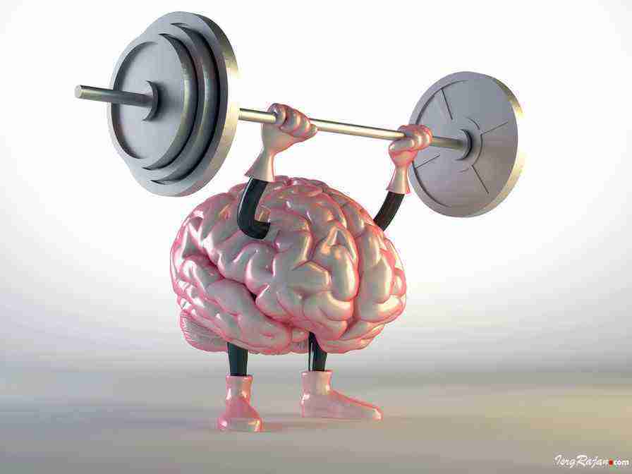 Healthy Brain, Brain doing exercise