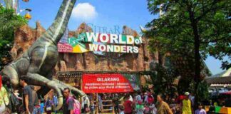 Worlds of Wonder and other Entertainment