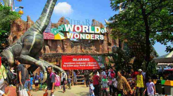 Worlds of Wonder and other Entertainment