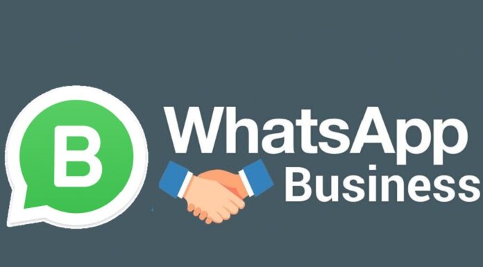 Whatsapp Business in India