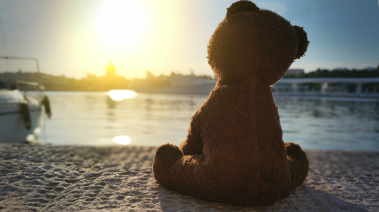 sad teddy, teddy near bech