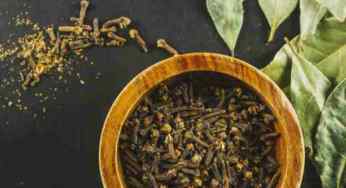 Story of Clove: One of the Oldest Spices in world with Great Anti-bacterial Properties