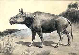 Entelodont