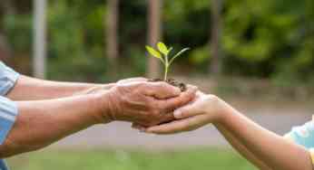 Save the Environment: Small Contributions That Can Save Our Environment From Pollution