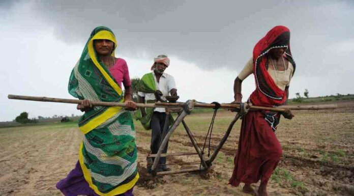 agriculture in india