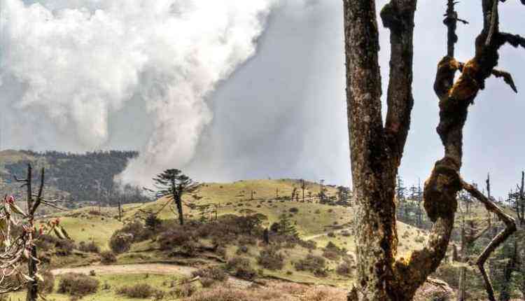 Kurseong Trek, Darjeeling