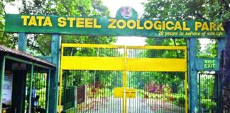 Tata steel zoological park