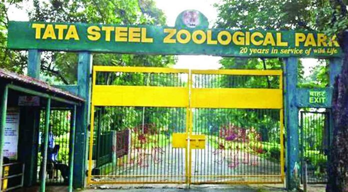 Tata steel zoological park