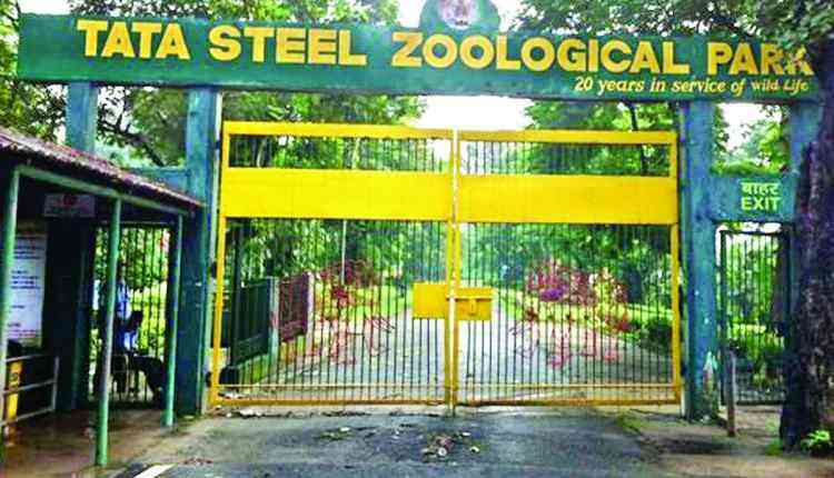 Tata steel zoological park