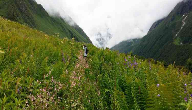 Dhoon Valley Trek, Garhwal, Uttrakhand