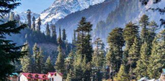 Manali, Mountains, Hotels