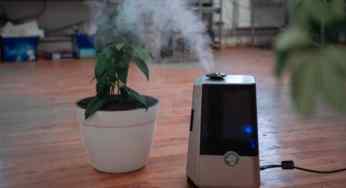How effective is air purifier in Delhi to use in the room?
