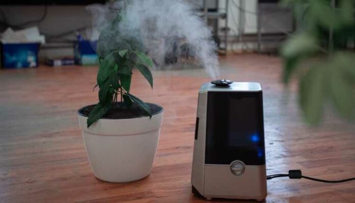 Air Purifiers In Delhi Homes