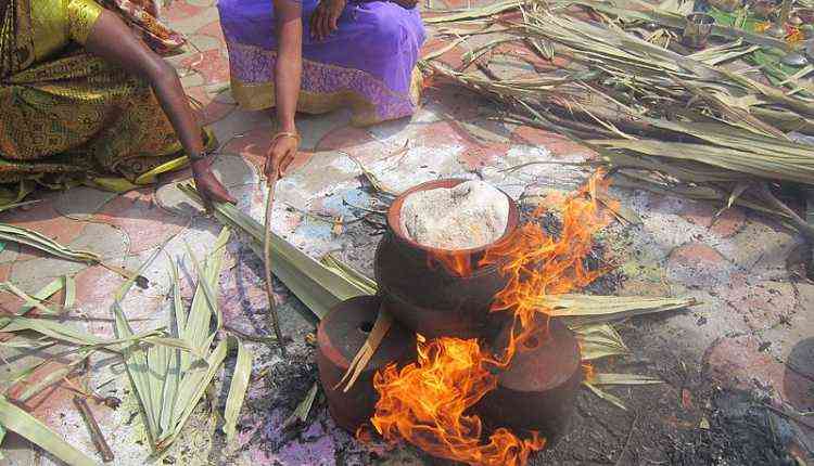 Pongal