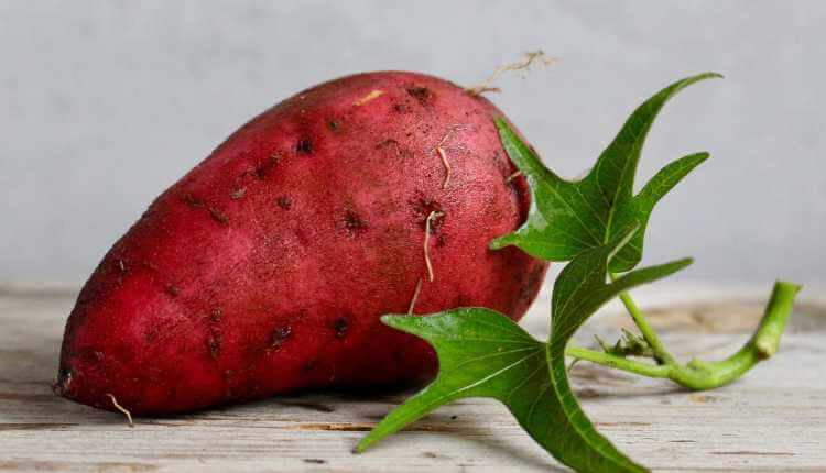 Sweet Potato, Fruit, Food, Vegetable