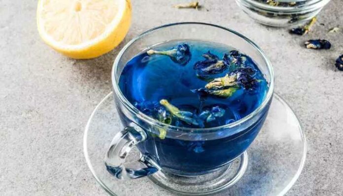 What is Blue Tea and what are the Benefits of drinking it?