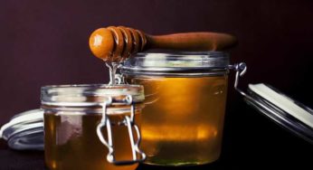 Difference Between Raw, Organic, and Processed Honey?