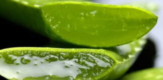 10 Aloe Vera Face Mask To Get Rid Of Acne And Eczema