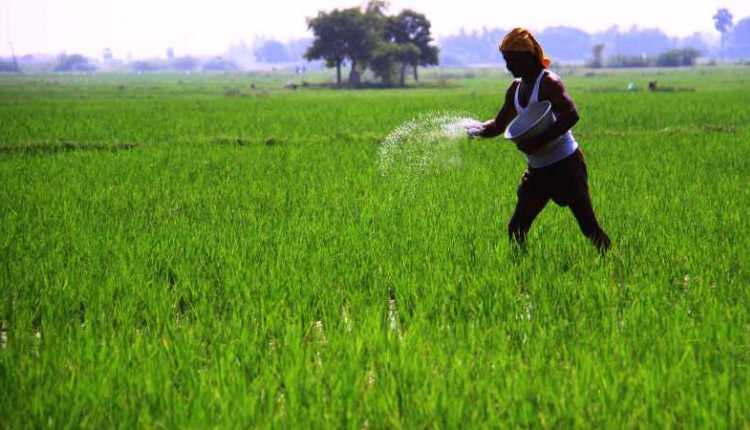 Farmer, agriculture, crops