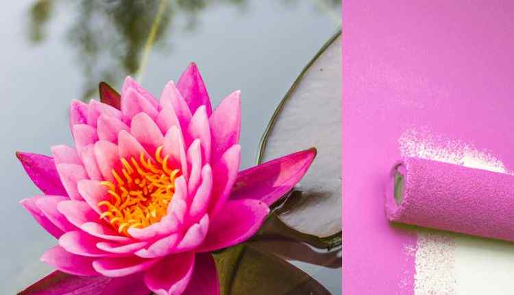 Lotus Flower Paint.jpg.1000x0 Q80 Crop Smart