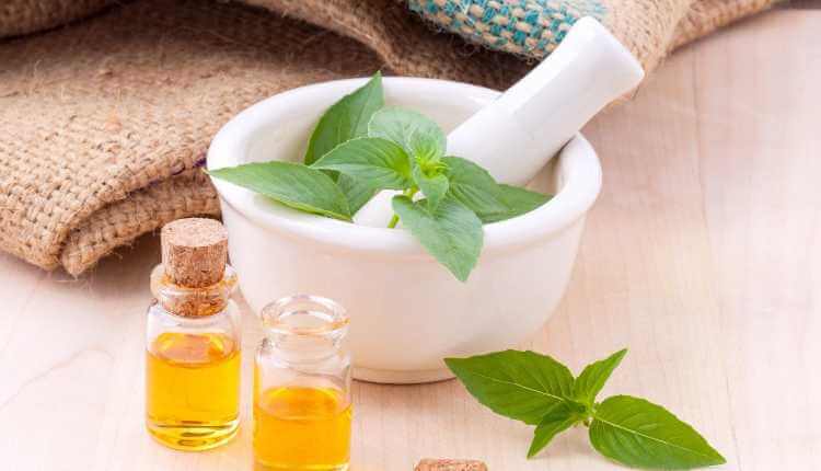 Aromatherapy, Lemon, Basil, Hairy, Essential Oil