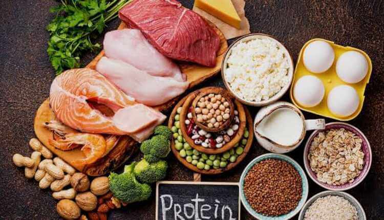 High Protein Foods