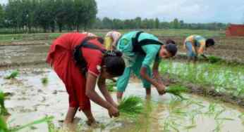 It is high time to give autonomy to agricultural sector of India