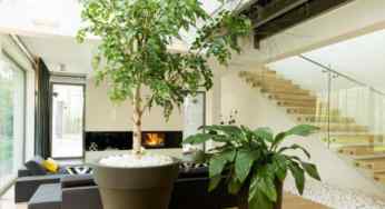What are the benefits to decor your indoor with greenery effect?