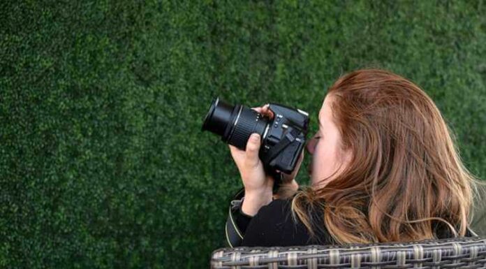 Photography, Camera, Girl, Model, Photoshoot, Wall, Green