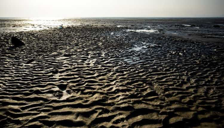 Dumas Black Sand Beach, Gujarat