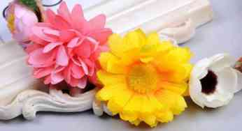 Top 10 Edible Flowers Used in Cooking that are Health Boosters!