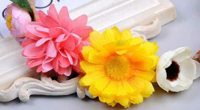 Top 10 Edible Flowers Used In Cooking That Are Health Boosters