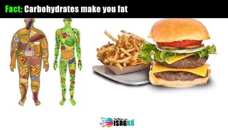 Carbohydrates Make You Fat