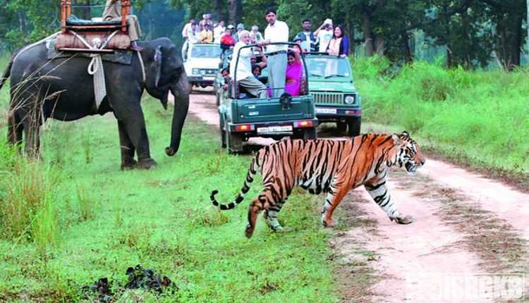 Jim Corbett National Park, Wedding Destination