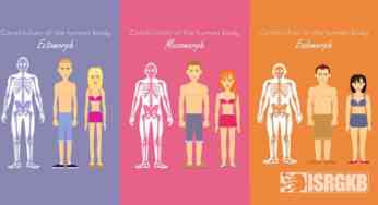 Is Linking of Body Typology and Personality Is Stereotypical?