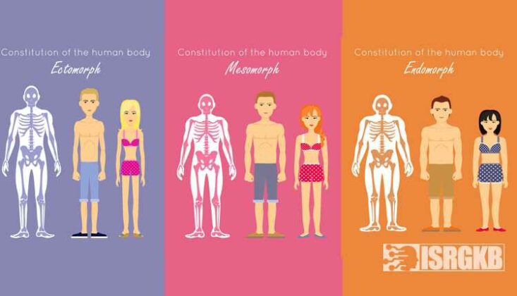 endo ectomorph diet endo ectomorph diet