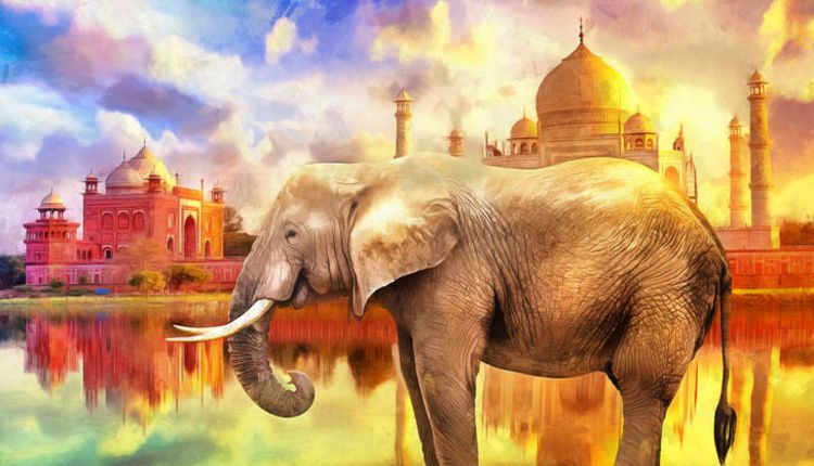 1000 Elephants, Taj Mahal