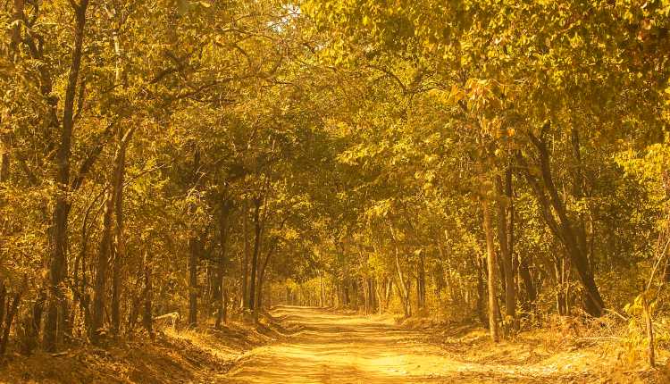 Sambalpur City, Debrigarh Wildlife Sanctuary